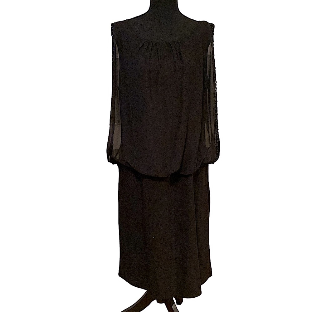 💖 Sheer Elegant Formal Sleeveless Dress • Beautiful Beading Detail • Lined 💖